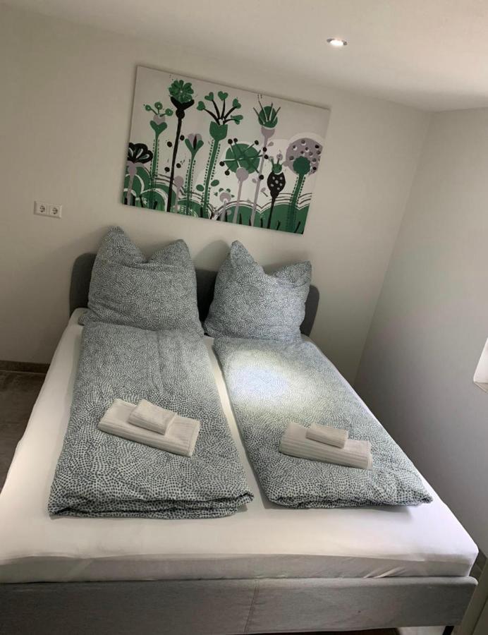 Greenhome Loerrach -Ihre Unterkunft Im 3-Laendereck- Quarto foto