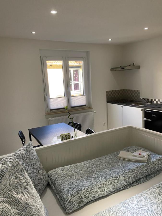 Greenhome Loerrach -Ihre Unterkunft Im 3-Laendereck- Exterior foto