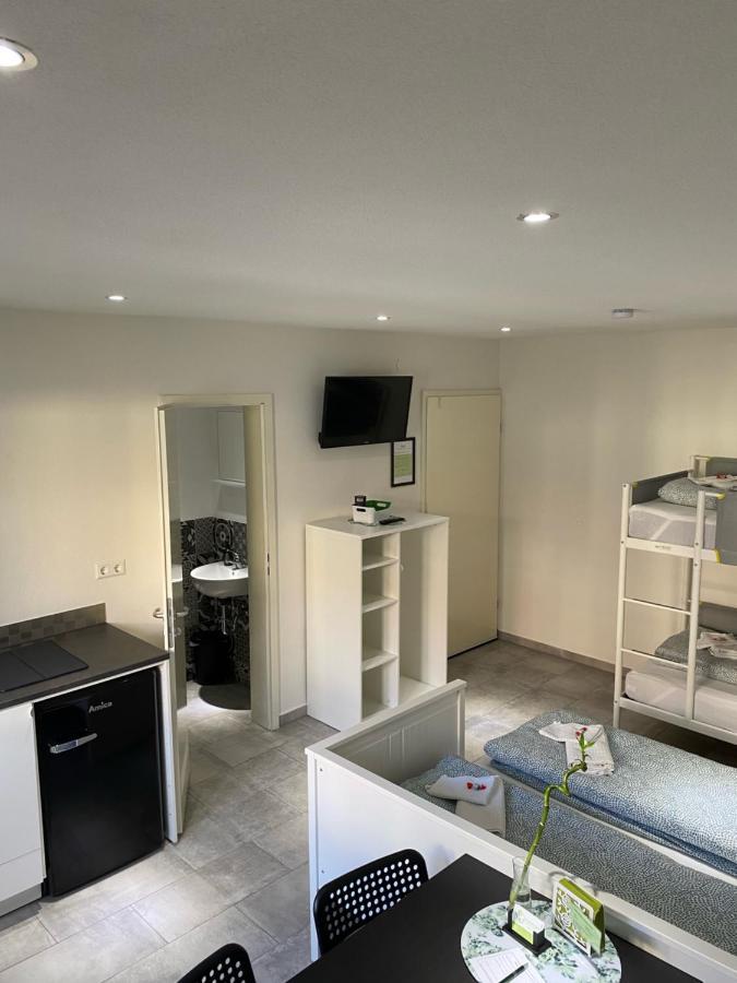 Greenhome Loerrach -Ihre Unterkunft Im 3-Laendereck- Exterior foto